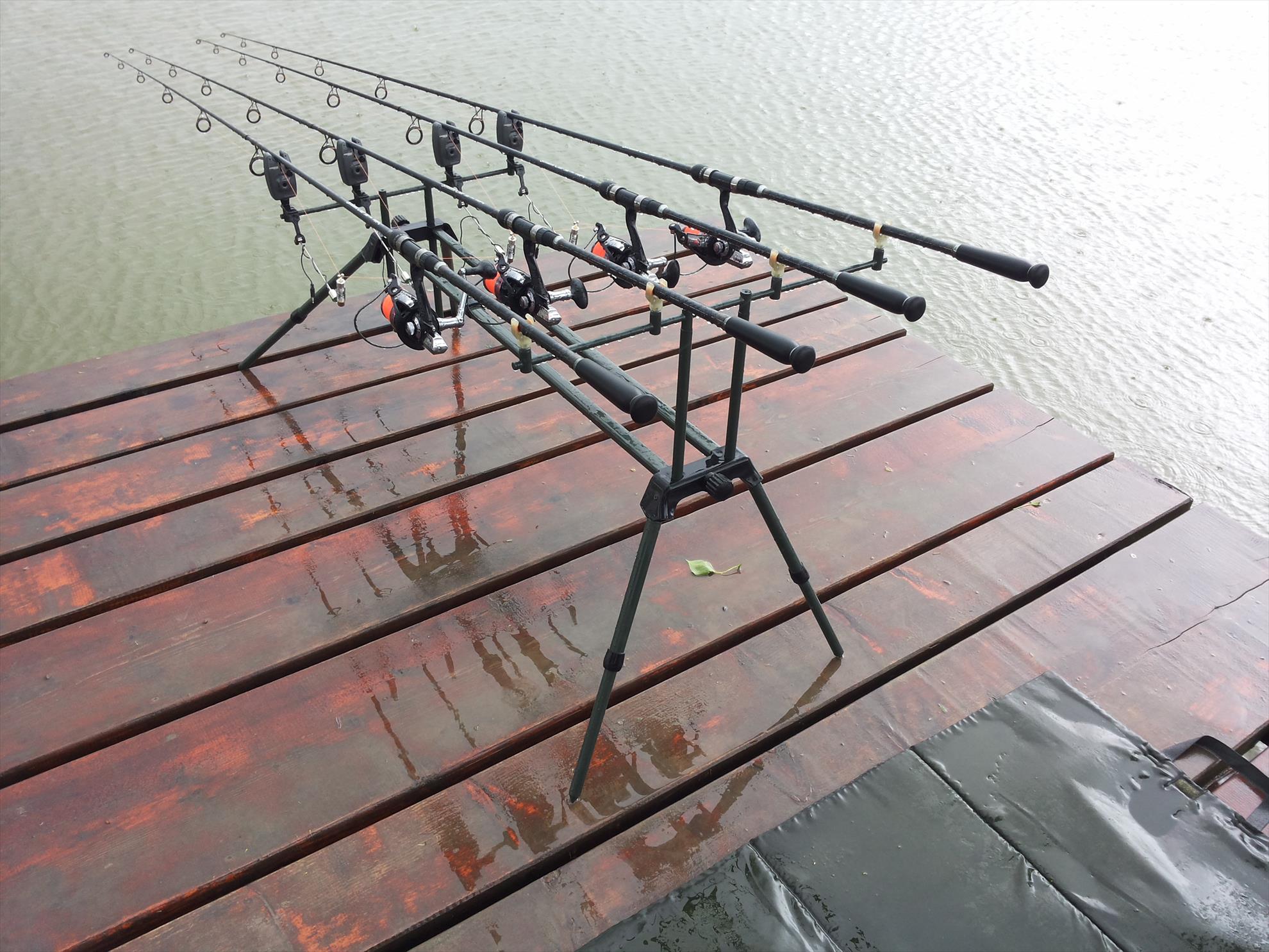 Pleasa 04-05-14 - 20140504120259.jpg